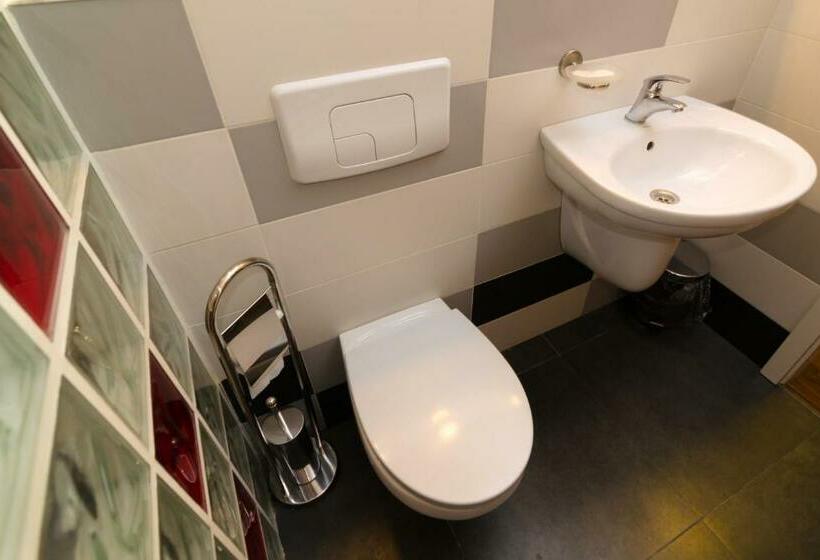 חדר סטנדרט, Pensiunea La Broscuta