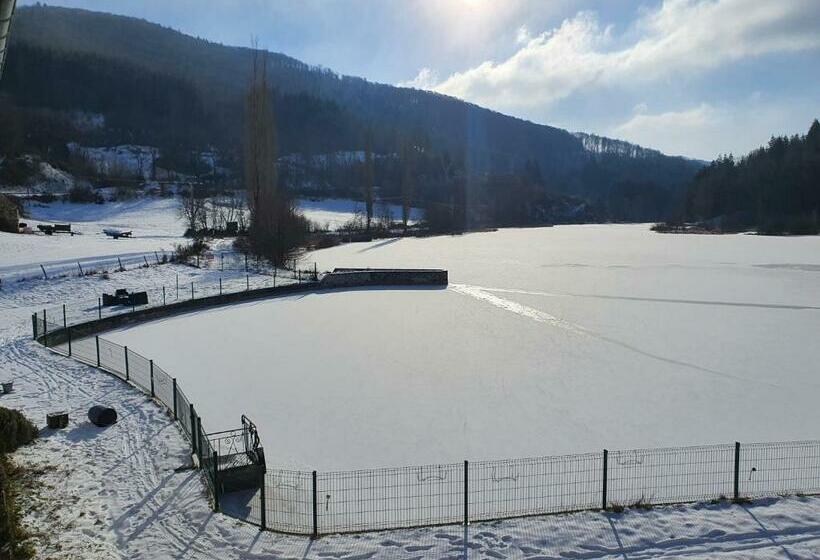 חדר משפחתי, Le Lac Des Moines