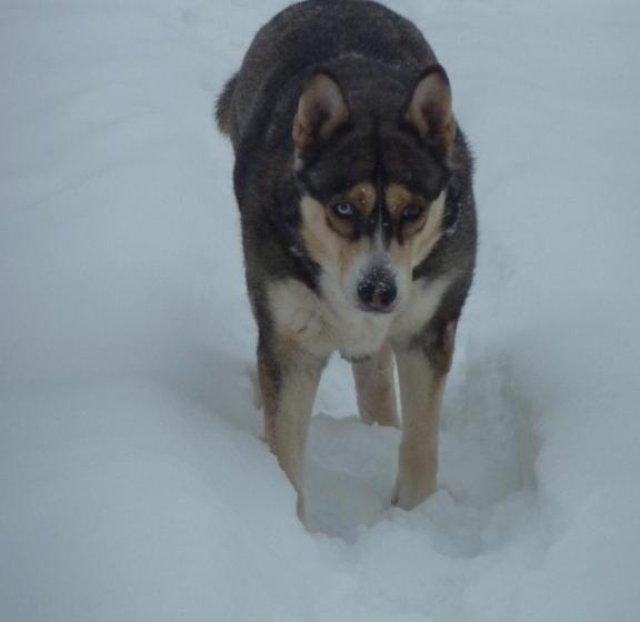 חדר משפחתי, Le Lac Des Moines