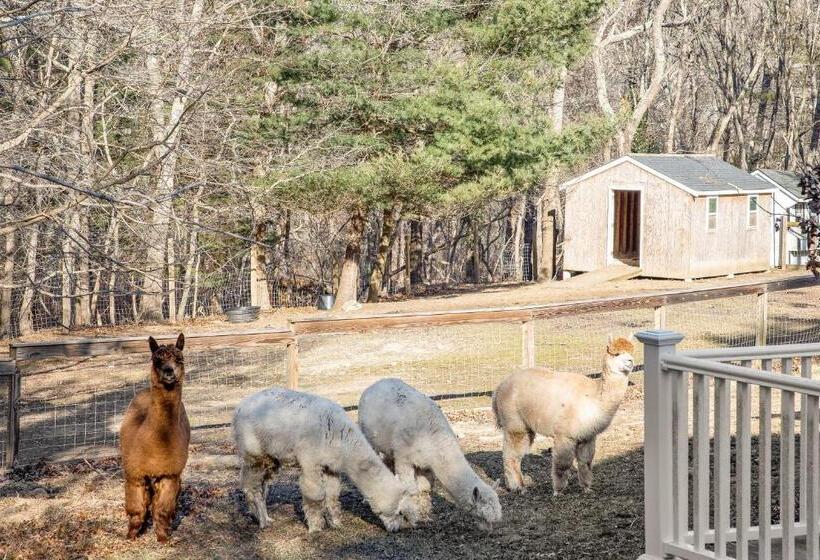 غرفة ديلوكس سرير كينج, Lambert S Cove Inn & Resort