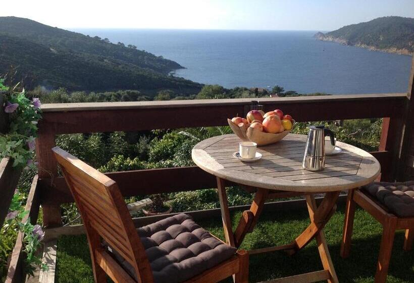 Номер Стандарт с Балконом, La Coccinelle