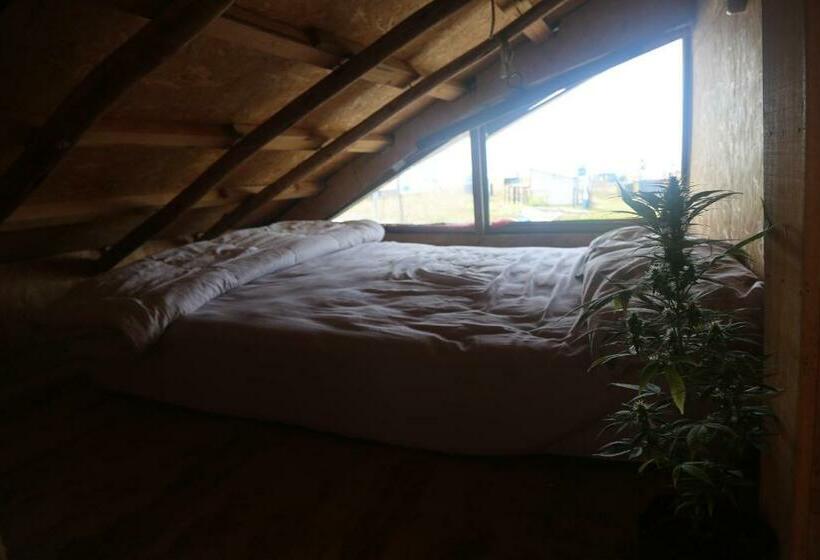 Номер Стандарт, Lobo Hostel Bar