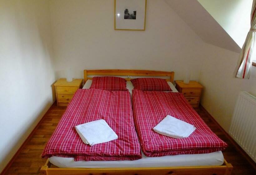 스탠다드 룸, Penzion Pláně