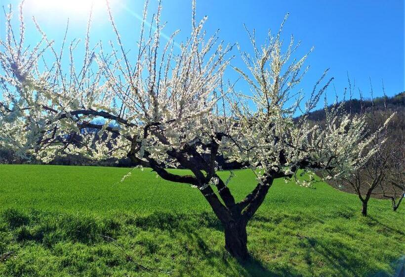 デラックスルーム, Agriturismo Malvista