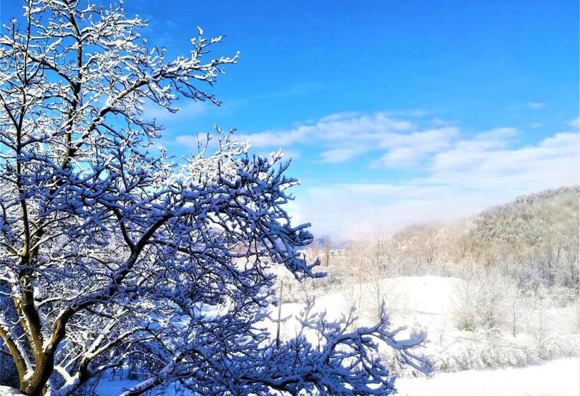 スタンダードシングルルーム, Agriturismo Malvista