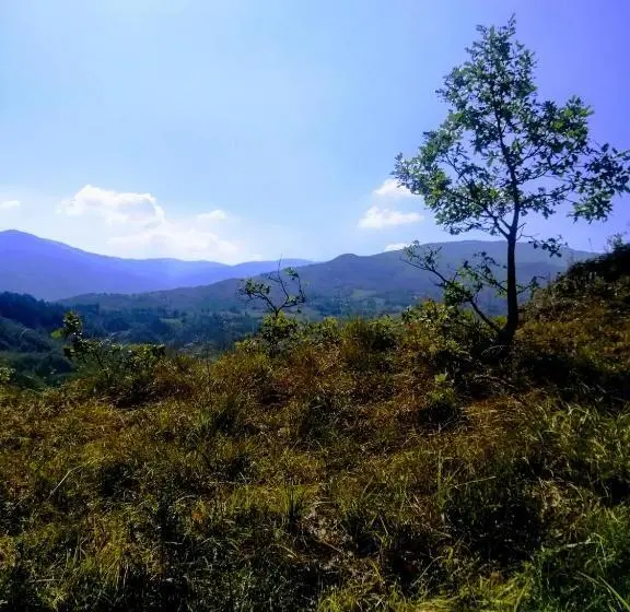 スタンダードシングルルーム, Agriturismo Malvista