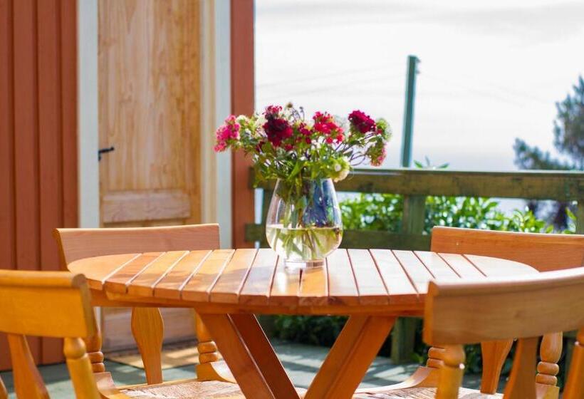 Standard bungalow with terrace, En Casa De Patricia