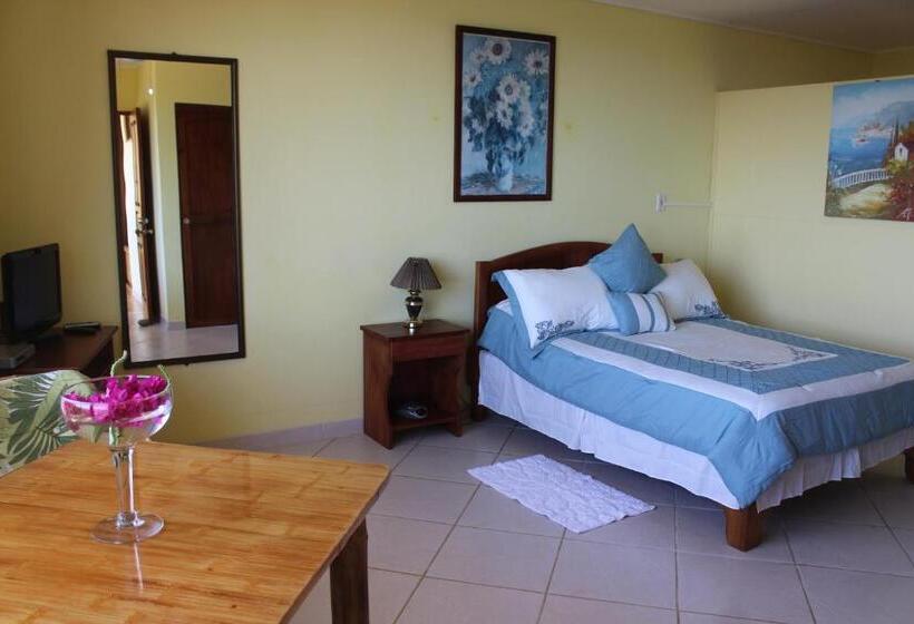 إستوديو قياسى مطلّ علي الحديقة, La Princesa