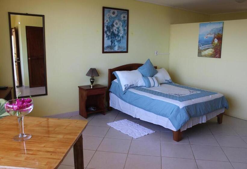 إستوديو قياسى مطلّ علي الحديقة, La Princesa