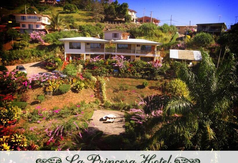 إستوديو قياسى مطلّ علي الحديقة, La Princesa