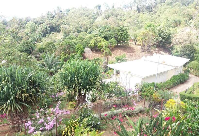 شقة غرفة واحدة, La Princesa