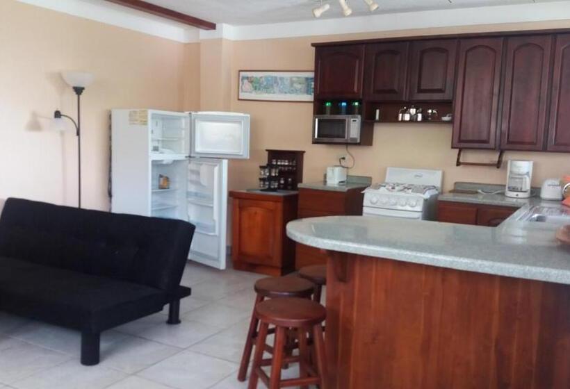 شقة غرفة واحدة, La Princesa