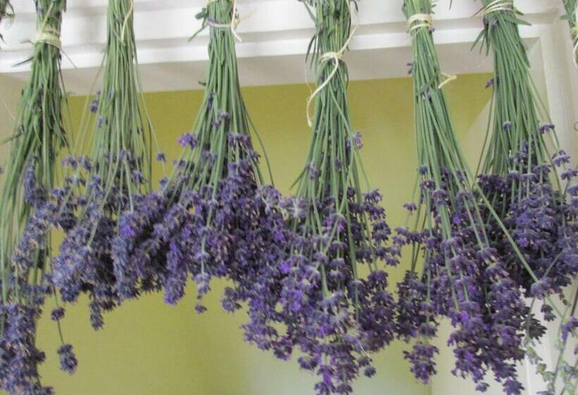 침실 2개 주택, Levendula Vendégház