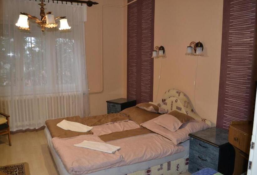 Номер Стандарт Вид на Сад, Vár Lak Vendégház