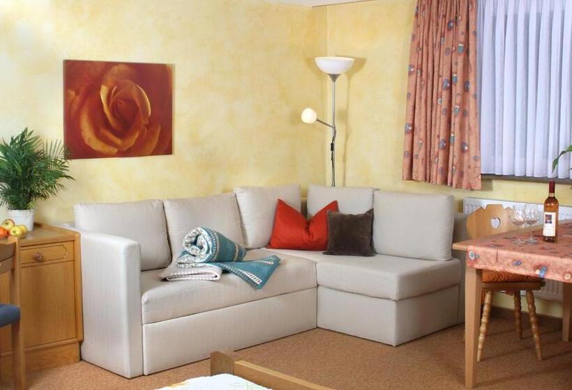 수피리어 룸, Schwarzer Adler   Hotel Garni