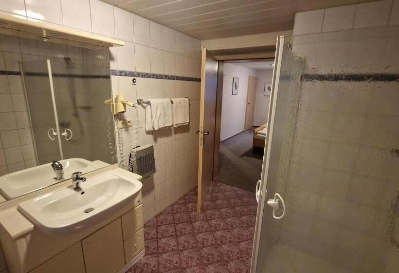 이코노미 룸, Schwarzer Adler   Hotel Garni