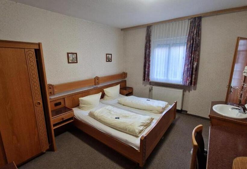 Номер Economy, Schwarzer Adler   Hotel Garni