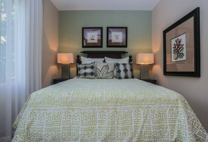 آپارتمان لوکس 2 خوابه, Club Del Sol By Dream Makers