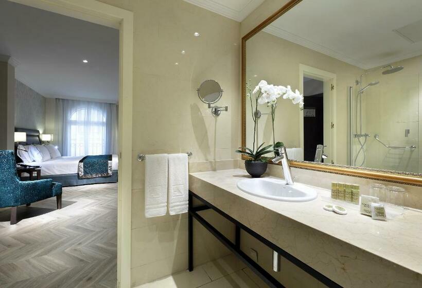 スタンダードルーム, Eurostars Casa De La Lirica