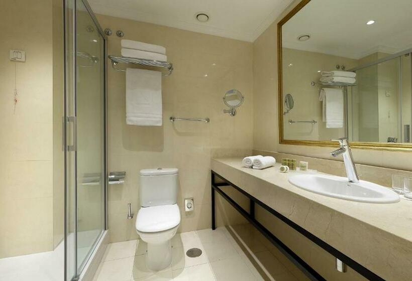 テラス付きデラックスルーム, Eurostars Casa De La Lirica