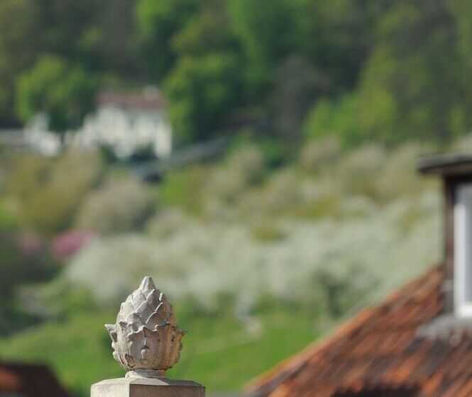 اتاق استاندارد, The Charles