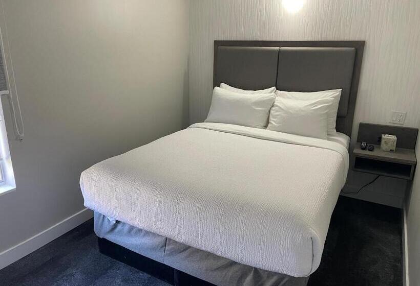 جناح, The Vic, Ascend Hotel Collection