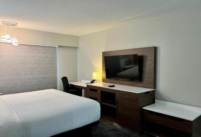 غرفة قياسية سرير كينج, The Vic, Ascend Hotel Collection