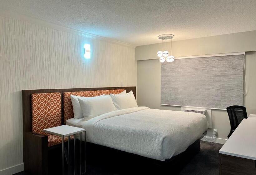 غرفة قياسية سرير كينج, The Vic, Ascend Hotel Collection