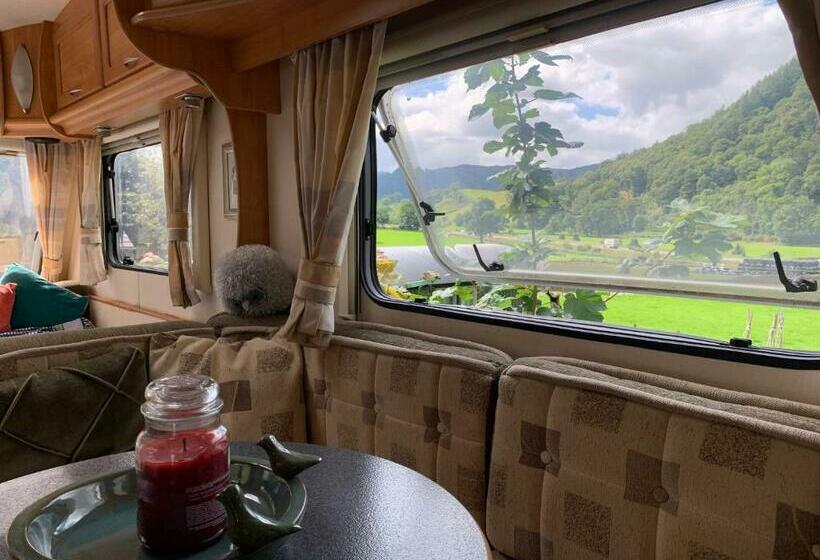 スタンダードルーム, Stybeck Farm