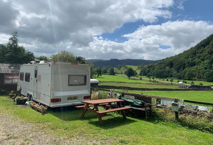 スタンダードルーム, Stybeck Farm