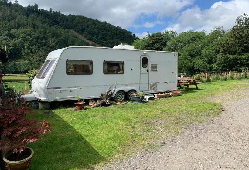 スタンダードルーム, Stybeck Farm