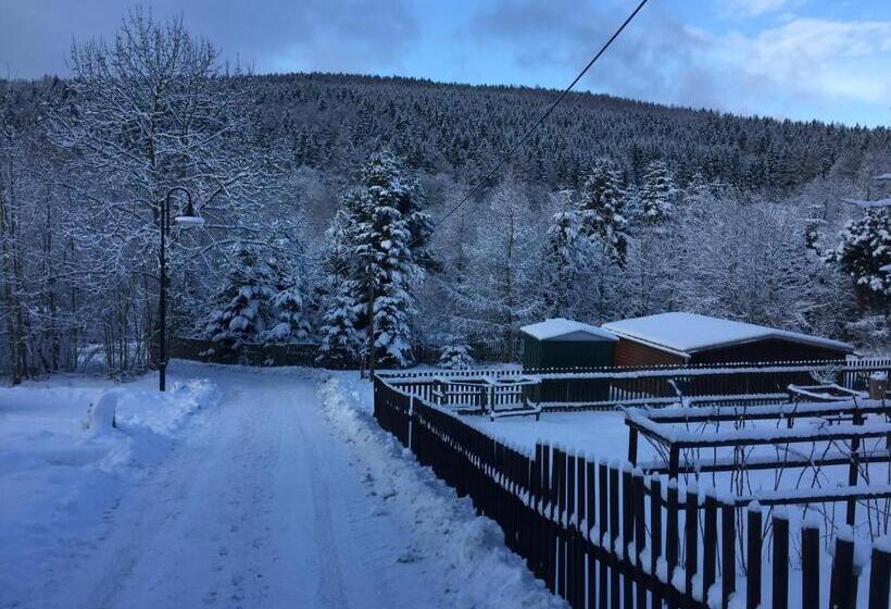 1ベッドルームアパートメント, Gasthof & Pension Brettmühle