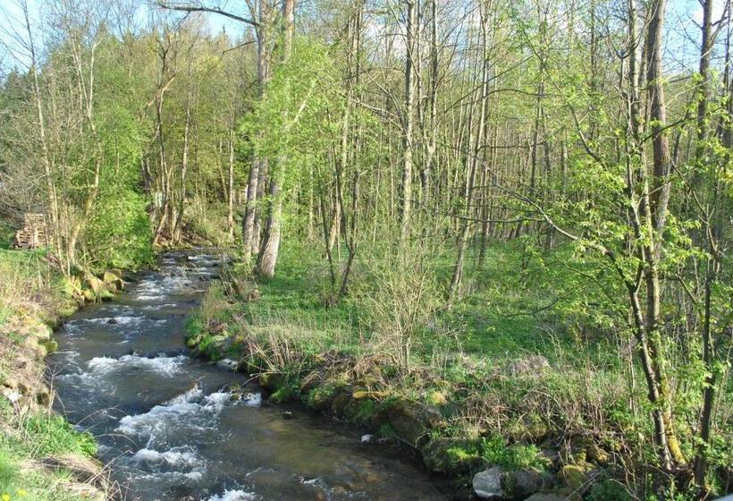 1ベッドルームアパートメント, Gasthof & Pension Brettmühle