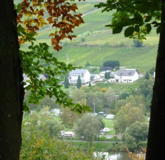 Апартаменты 1 Спальня, Ferienweingut Liebfried