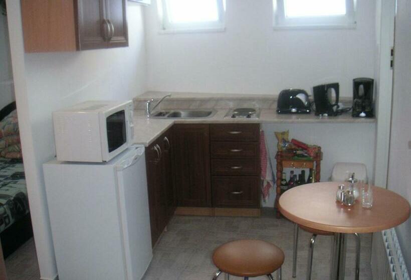 Студия Стандарт, Penzion Ok