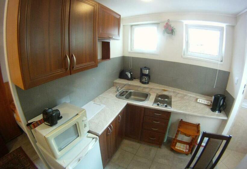 Студия Стандарт, Penzion Ok