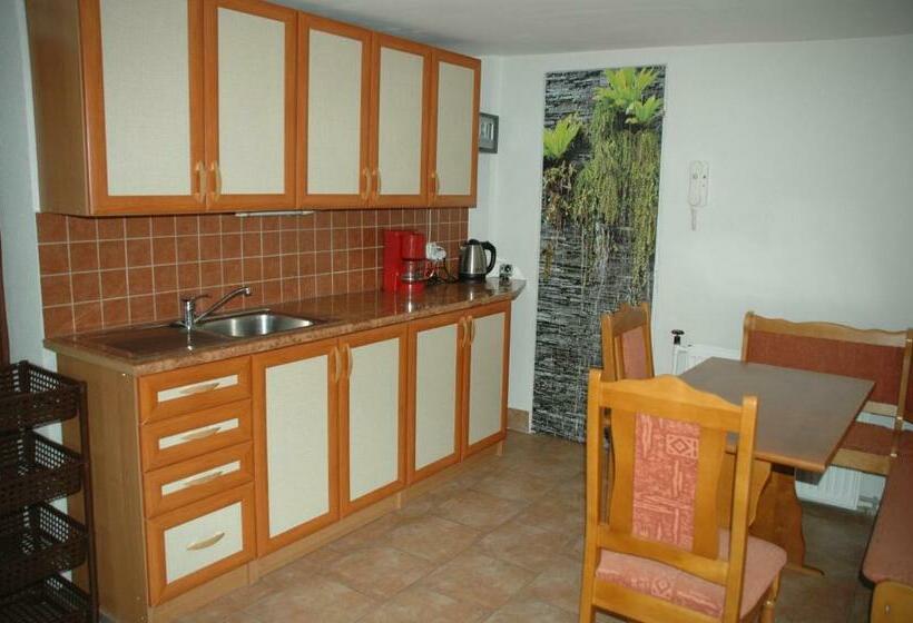 Апартаменты 1 Спальня, Penzion Ok