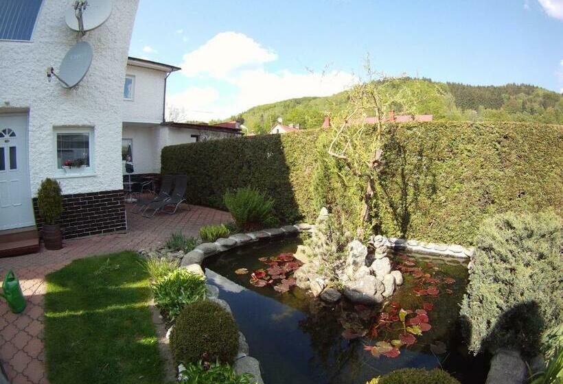 Апартаменты 1 Спальня, Penzion Ok