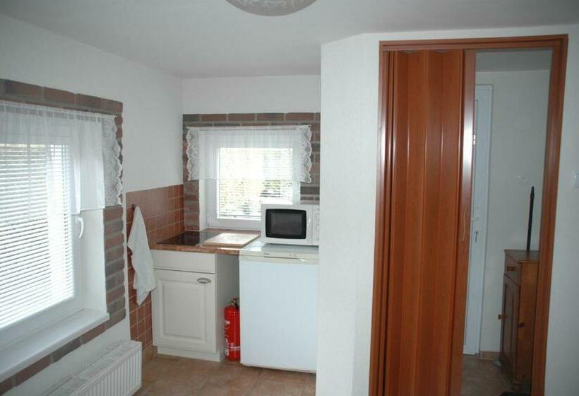 Апартаменты 1 Спальня, Penzion Ok