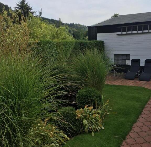 Апартаменты 1 Спальня, Penzion Ok