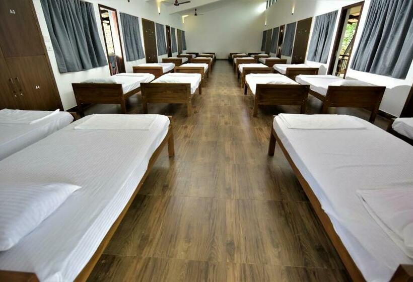 ルームシェアのワンベッド, Sattva The Awakening Garden