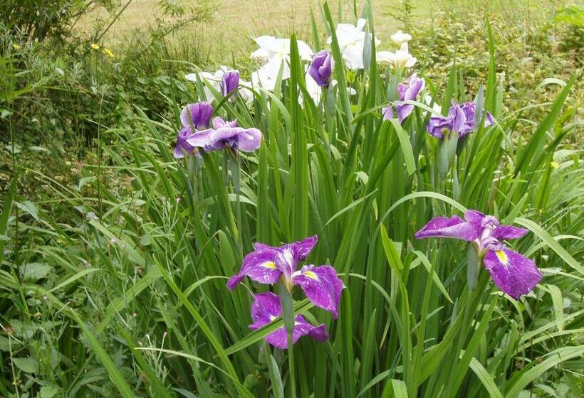 غرفة قياسية, Chambres D Hotes La Belle Taille