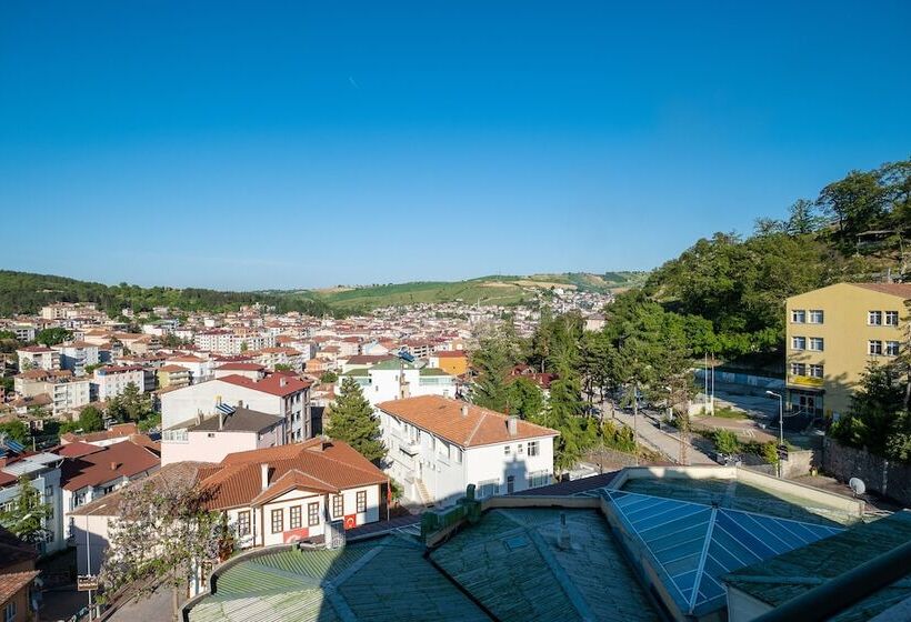 اتاق سوپریور, Ancere Thermal Hotel & Spa