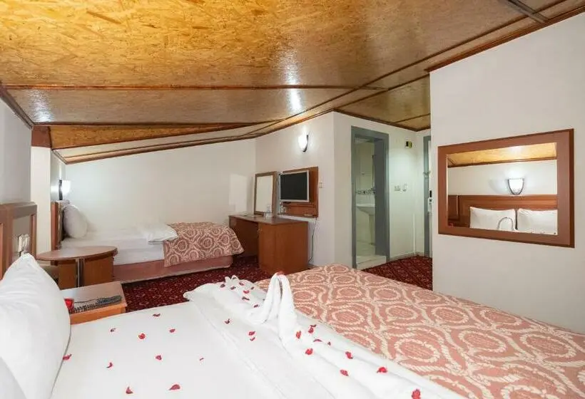 エコノミートリプルルーム, Ancere Thermal Hotel & Spa