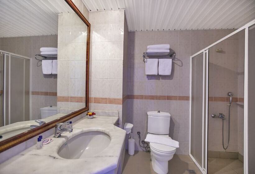 Номер Стандарт, Ergun