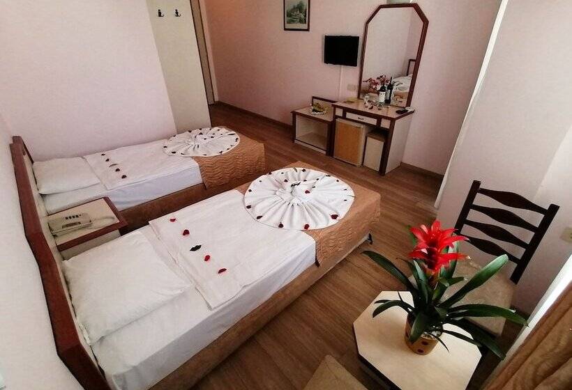 Номер Стандарт, Ergun