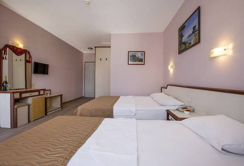 Номер Стандарт, Ergun