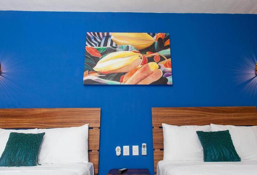 패밀리 스튜디오, Latino Hotel Boutique