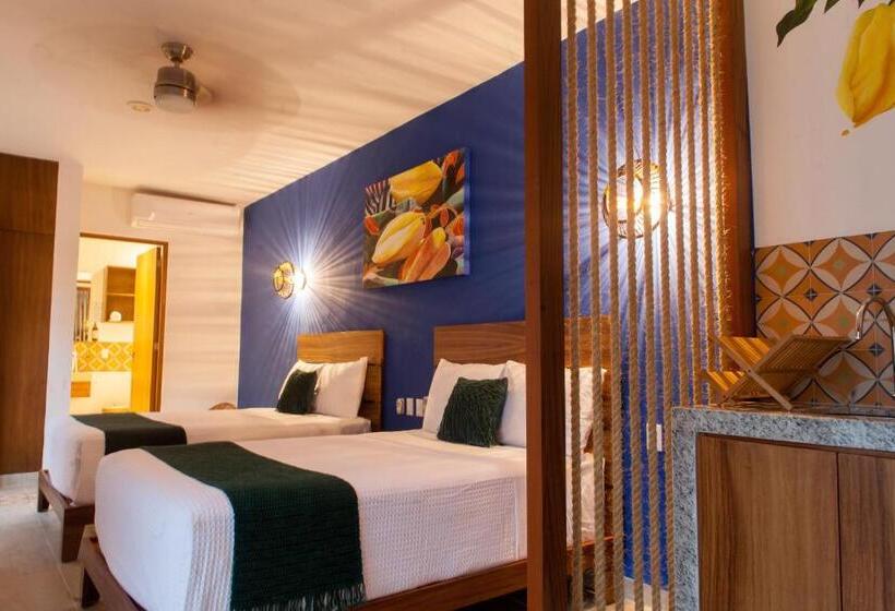 패밀리 스튜디오, Latino Hotel Boutique