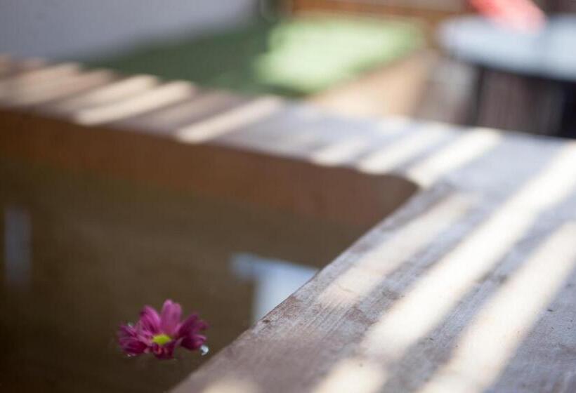 자쿠지 스위트, Latino Hotel Boutique